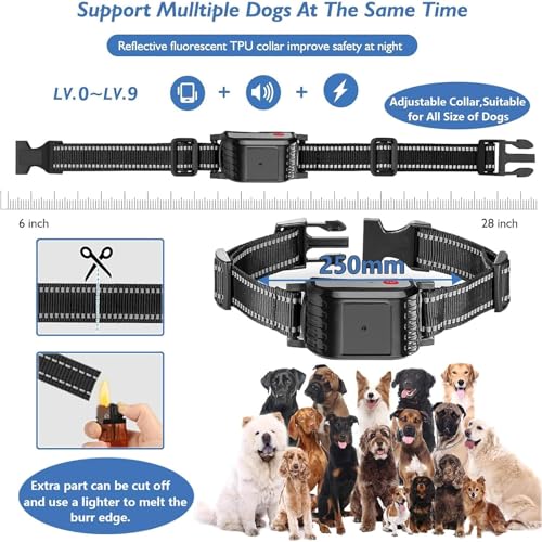 Testing BNDHDEH Wireless Dog Fence Performance