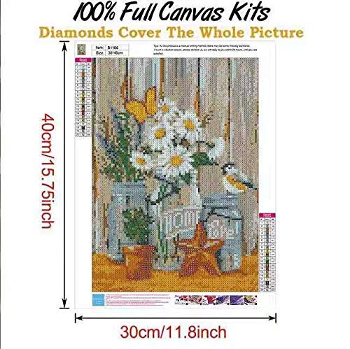 Diamond Painting,5d Diamond Painting Kits for Adults & Kids,DIY Diamond Painting Kits for Adults Home Wall Decoration (11.8×15.7inch)