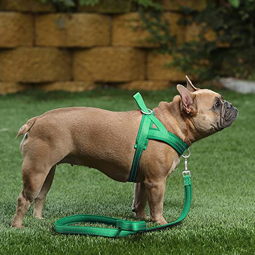 Image of Plutus Pet No Pull Dog Harness for Medium Sized Dog, Breathable Mesh Padded