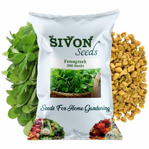 Image of SIVON Fenugreek (Methi) (300 Seeds) Vegetable Seeds for Home Garden, Organic & Hybrid, Perfect for Home Gardening, Planting For Pots and Patio