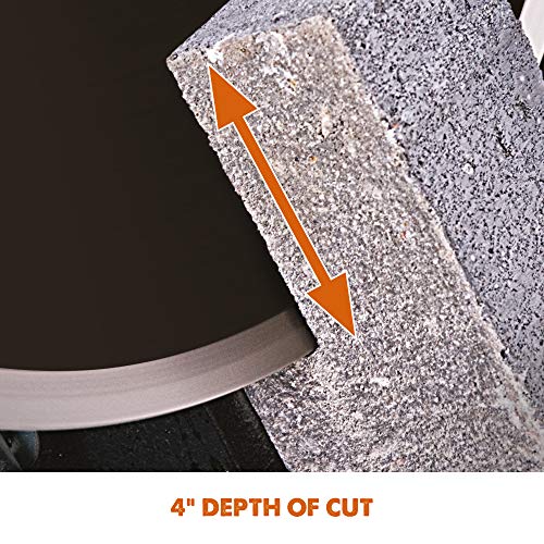 Evolution DISCCUT1 12