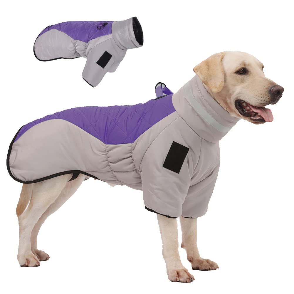 meioro Chaqueta para Perros para el Clima frío, Abrigo Impermeable y Reflectante para Perros, Chaleco deIinvierno para Perros Medianos y Grandes Ropa para Perros (X-Large, Gris+Morado)