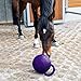 kowaku Game Ball Pet Horse Stable and Yard Toy, 28cm Pink
