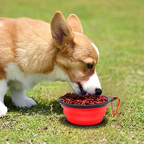 Image of SLSON Plastic Collapsible Dog Bowl, 2 Pack Collapsible Dog Water Bowls for Cats Dogs, Portable Pet Feeding Watering Dish for Walking Parking Traveling with 2 Carabiners (Small, Blue+Red)
