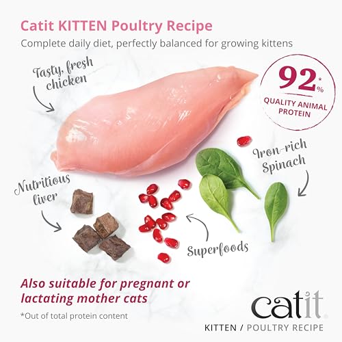 Catit Recipes Kitten, Katzentrockenfutter aus Huhn, 400g – Ansicht 2