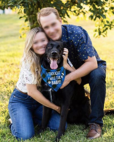 Ntkio Funny Blue Plaid Cotton Pet Dog Bandana, I Thought I Was The Baby, Pet Dog Pregnancy Announcement Photo Prop Triangle Bibs Accessories For Pet Dog Lovers Party Gift #TOP1