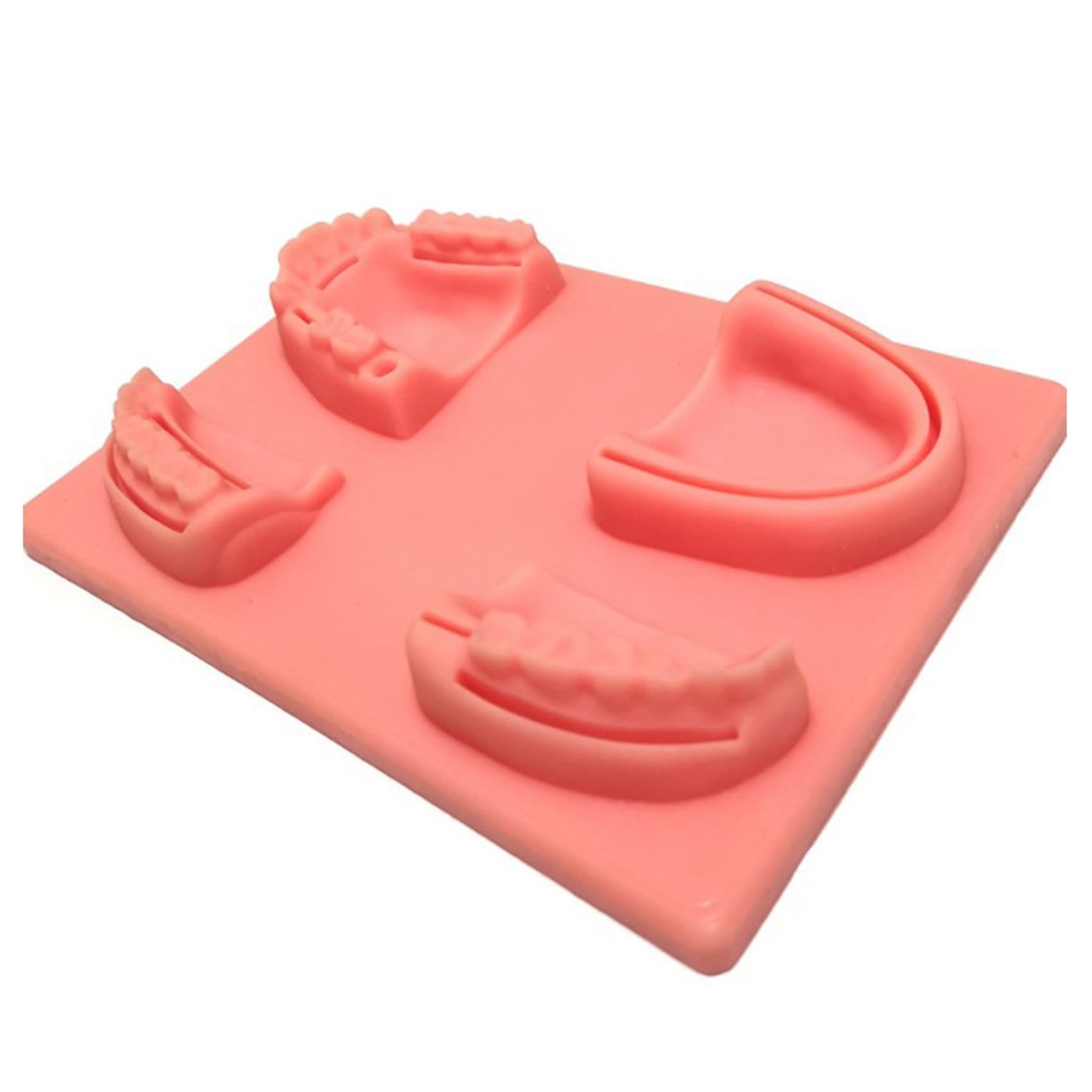 Kit per esercizi di cucitura dentale, 5 pezzi, per studenti e studenti veterinari