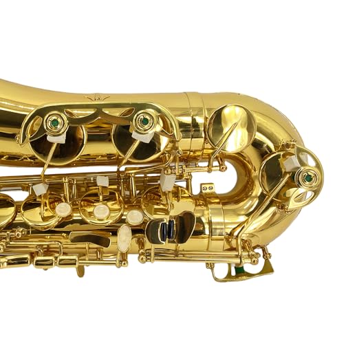 Image of Yinfente B Flat Tenor Saxophone Beginner Kit- Bb Tenor Sax Professional Complete Student Set with Hard Case,Reeds,Cleaning Cloth,Neck Straps,