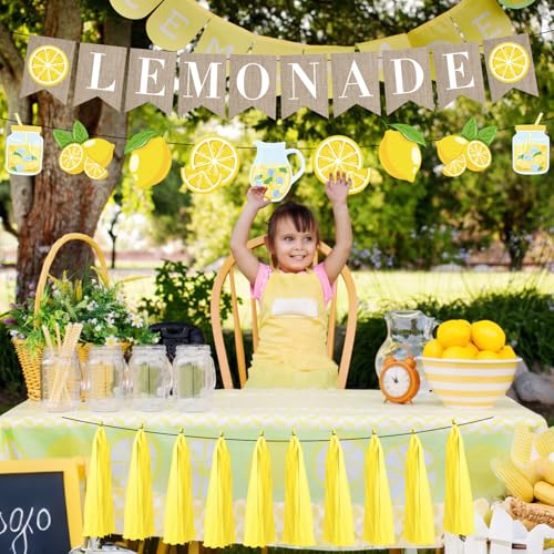 Image of Lemonade Stand Party Decorations - 3PCS Lemonade Stand Supplies for Kids Lemonade Banner Garland for Summer Lemonade Sign Tassels Lemon Themed Bridal Shower Birthday Party Supplies Decor