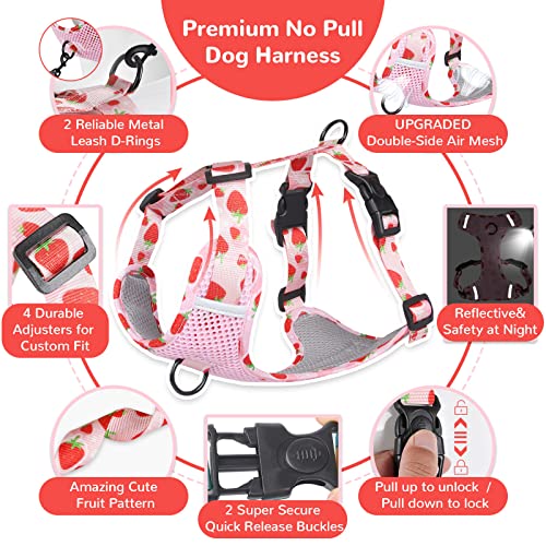 Petcare Cute Dog Harness And Leash Set No Pull Upgraded Soft Breathable Air Mesh Dog Vest Harness Reflective Adjustable No-Choke Front Clip Dog Harness For Small Medium Large Dogs (Pink,Medium) #TOP4
