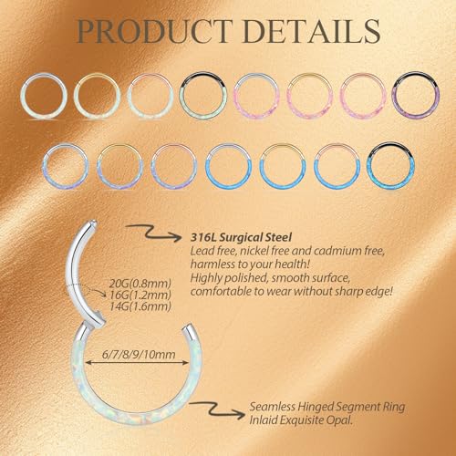 Image of PEAKLINK 16G 18G 316L Stainless Steel CZ /OPAL Septum Piercing Septum Clicker Ring Hinged Nose Ring Daith Earrings Conch Piercing Jewelry Helix Cartilage Tragus Lobe Belly Hoop Earring