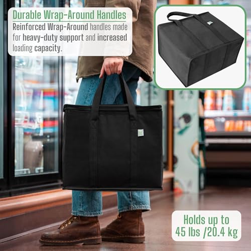 VENO 2-Pack Collapsible Cooler Bags