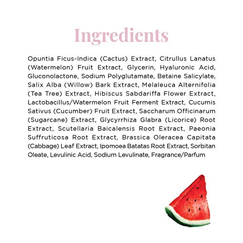 Glow Recipe Watermelon Glow Pha + Bha Pore-Tight Face Toner - Pha Hydrating Toner & Bha Exfoliant With Cactus Water, Cucumber, Tea Tree & Hyaluronic Acid For A Smooth Watermelon Glow (150Ml) #TOP7