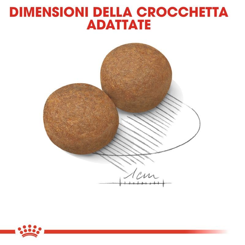 Croquetas Maxi Adult 15 kg
