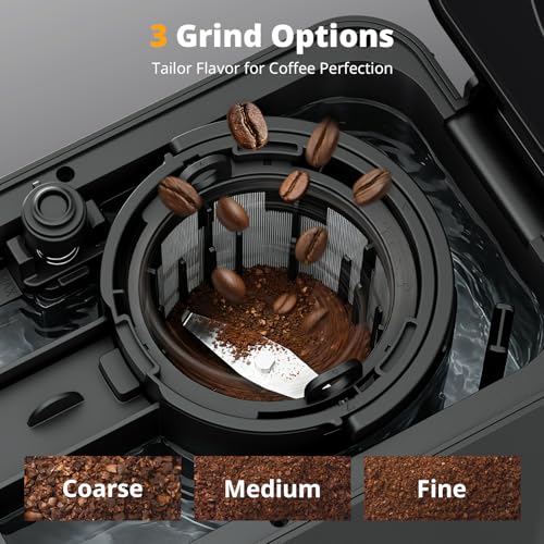 AIRMSEN 5 Cup Grind & Brew