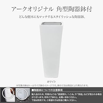 光触媒　人工観葉植物　フェイクグリーン　ホワイトブランチポット180センチ 光触媒 光の楽園アイビーポット【インテリアグリーン 人工観葉