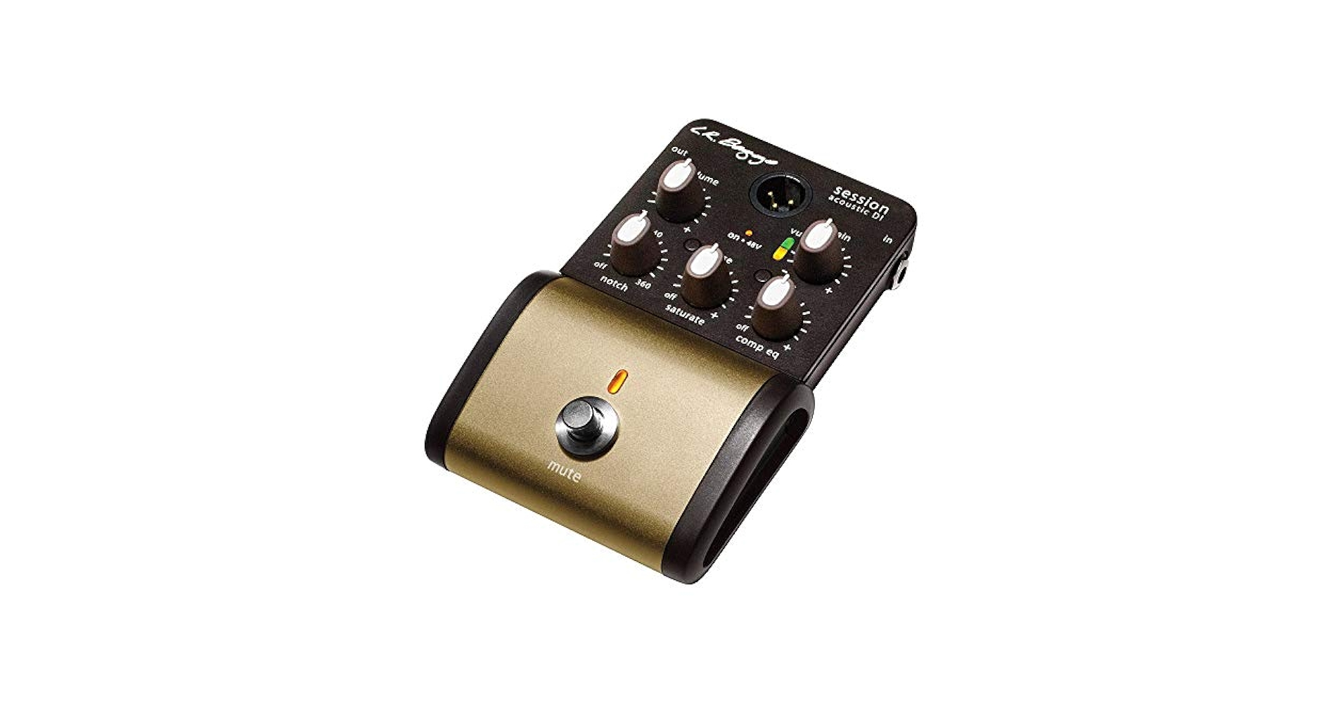 Amazon.com: L.R. Baggs Session DI Acoustic Guitar Preamp and