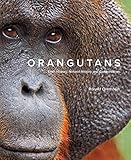 Orangutans: Their History, Natural History and Conservation