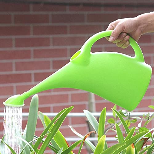 LOYUYU Regador de Plástico de 0,5 Galão, Pequeno, Leve, Bonito, para Plantas de Jardim Interno E Ext