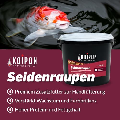 KOIPON Seidenraupen 1,5 kg getrocknet, Naturfutter ergänzend zu Koifutter für japanische Koi & Goldfische, Fischfutter, Leckerli zur Handfütterung