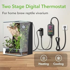 Bnlinkdigitaltemperaturecontrollerthermostatoutletwithheatingcoolingmode2stageoutletthermostatcontrollerplugforreptilesaquariumcarboyhomebrewbreedingfermenterseedgermination Urban Country Home Decor Bn link digital temperature controller thermostat outlet with heating cooling mode 2 stage outlet thermostat controller plug for reptiles aquarium carboy homebrew breeding fermenter seed germination urban country home decor