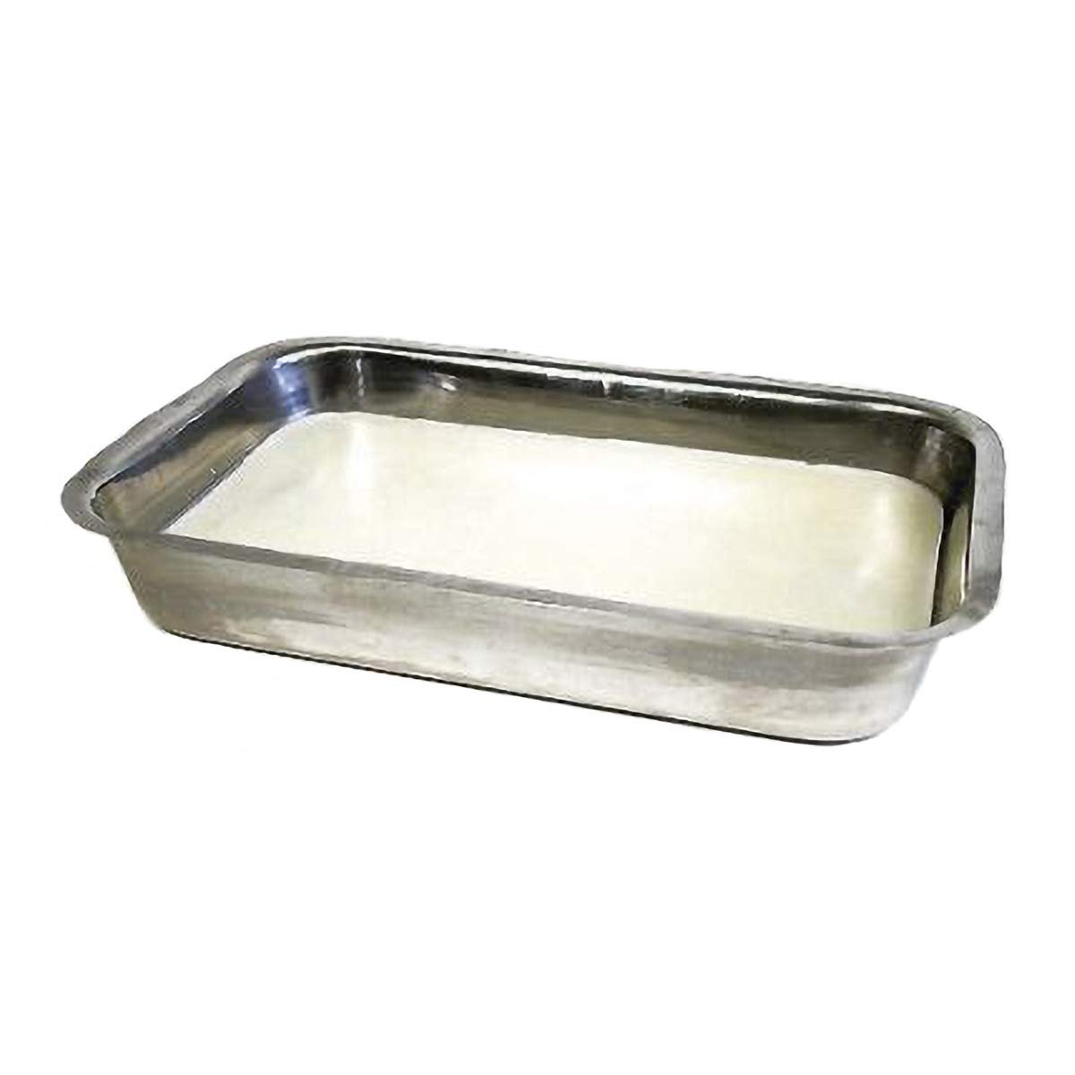3B Scientific Dissecting Tray with Wax