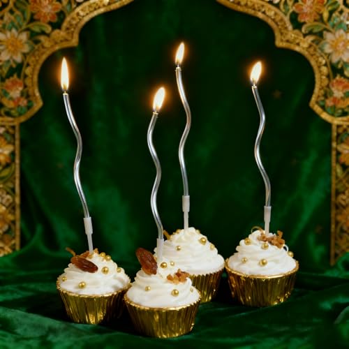 Chocisong 12 Twisty Spiral Birthday Cake Candles (Silver) Long Birthday Cake Cupcake Candles with Holders Thin Coil Elegant Wavy Candles for Birthday Wedding Anniversary Ramadan Party Decorations