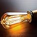 LUXON 8-Pack Edison Bulbs,Antique Vintage Style,Incandescent Light Bulb,Dimmable,Amber Warm 60W E26 Base for Wall Sconce Chandelier Retro Fixture