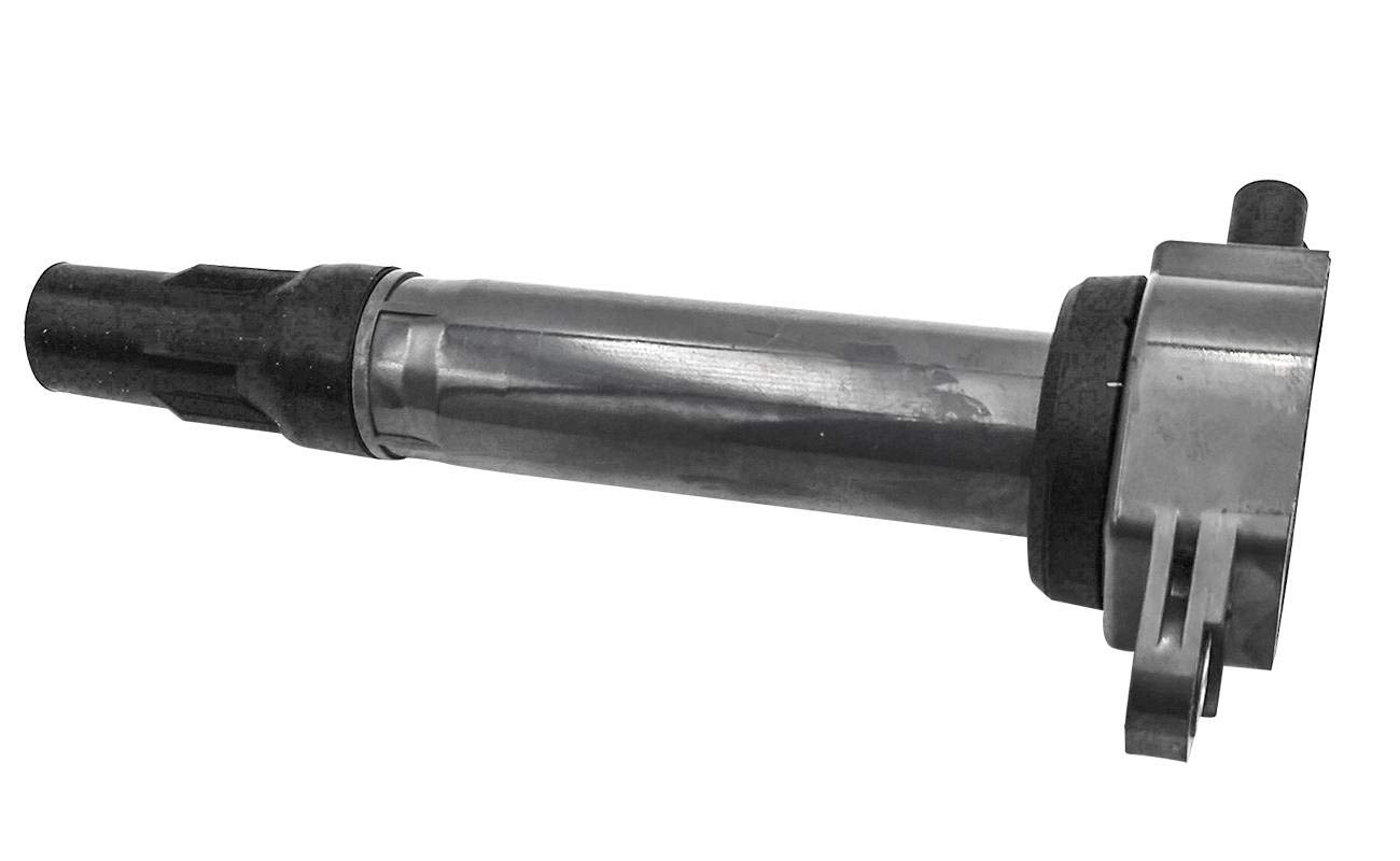 ペルー産　アントンウスバカミキリ 96mm Amazon.com: A-Premium Ignition Coil Pack Compatible with