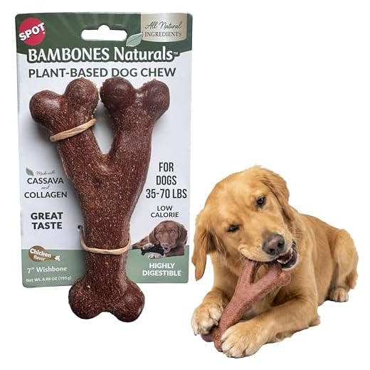 SPOT Bambones Naturals Wishbone Dog Chew, 7 Inch – Plant-Based Cassava & Collagen Chew for Medium to Large Dogs 35-70 lbs, Low-Calorie, Highly Digestible, Chicken Flavor, All Natural Ingredients