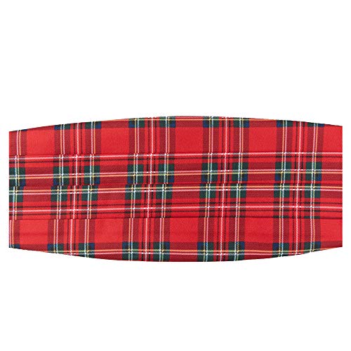 Jacob Alexander Royal Stewart Red Plaid Kids' Cummerbund