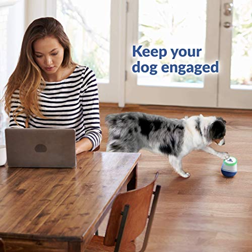 PupPod Gaming, Training, and Enrichment System for Dogs - Positive Reinforcement Puzzle Toy, Video Feeder, and Mobile… - Image 6