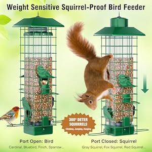 Squirrel Proof Bird Feeder, Metal Bird Feeders for Outdoors Hanging, Weight Activated, 3Lb Capacity, 4 Ports, All-Weather Tube Bird Feeder for Outside, Cardinal Finch Bluebird Wild Bird Feeder Squirrel Proof Bird Feeder Metal Bird Feeders for Outdoors Hanging Weight Activated 3Lb Capacity 4 Ports All Weather Tube Bird Feeder for Outside Cardinal Finch Bluebird Wild Bird Feeder