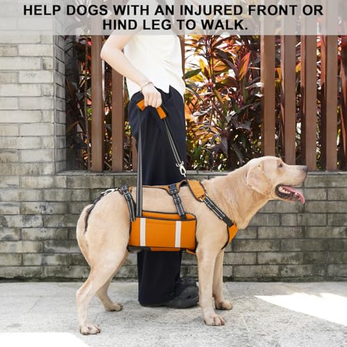 COODEO Mobility Hundegeschirr zum Heben, Notfall-Trageschlaufe, Haustier-Heckbeinstütze, Rehabilitationsweste, Hundetrage für ältere Hunde, Gelenkverletzungen, Arthritis (Orange, L)