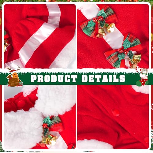 Vestido de Navidad para perro Santa Claus talla Large miniatura 4