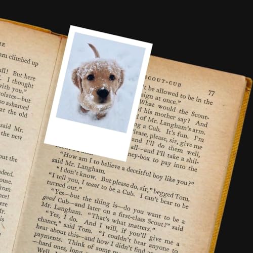 Image of Cute Dog & Puppy Poster Polaroids | Dog Memes Mini Posters Kit (Set of 15) | Dog PFPs Collage Kit Polaroids Sized (8 x 6 cm) Posters for Phone Accessories, Bedroom, Office, Living room (Dog Memes)