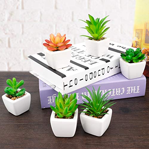 Faux Succulents In Pots Fake Succulents Small Artificial Succulents Potted For Home Office Desk Farmhouse Greenery Decor, 12 Pack #TOP3