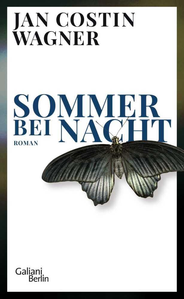 Sommer bei Nacht: Roman