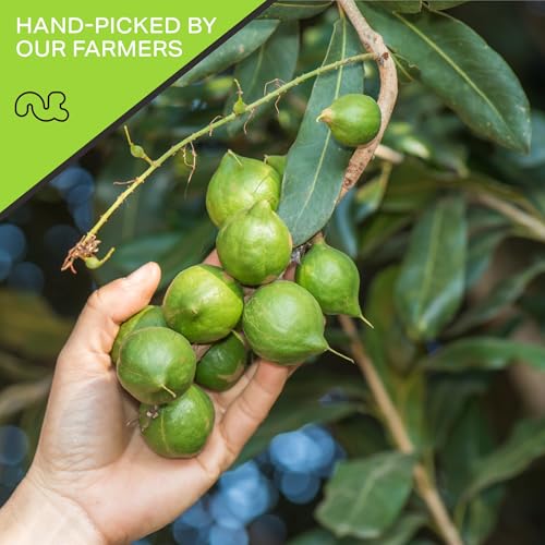 image for NUT CRAVINGS - Raw Macadamia Nuts, Unsalted, Shelled, (32oz - 2 LB) Bu