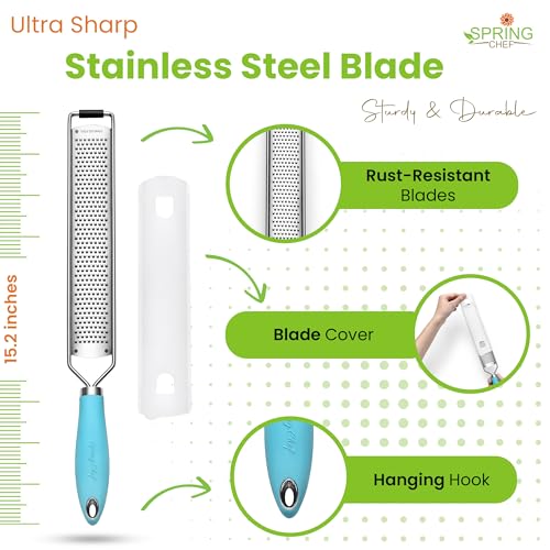 Image of Spring Chef Stainless Steel Lemon Zester, Garlic & Ginger Grater - Aqua Sky