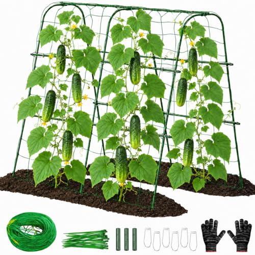 FOLLOOK Cucumber Trellis for Raised Garden Bed Rustproof Metal Garden Arch Trellis for Climbing Plants Support Outdoor Fruit Grape Vine Vegetable Tomato Pole Bean Snap Pea Trellis 48x48inch Green
