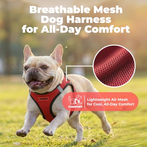 Image of Voyager Step-in Air Dog Vest Harness - Red /Black Trim, Small