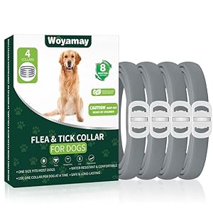 4 Pack Flea Collar for Dogs, Dog Flea and Tick Treatment, 8 Months Protection Flea and Tick Collar for Dogs, Waterproof Dog Flea Collar, Adjustable Collar Flea and Tick Prevention for Dogs, Grey