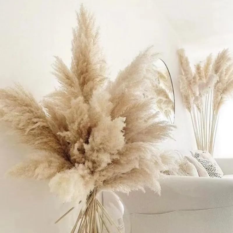 Pampas Grass Large 60cm Fluffy Tall Pampas Decor (5pcs) miniatura 3