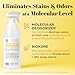 Skout's Honor Dog Urine Destroyer, Professional Strength, Plant-Powered, Cruelty-Free Urine Eliminator for Carpets and Indoor Living Spaces, 35 oz