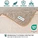 PetAmi Waterproof Dog Blanket, Leakproof XL Pet Blanket for Large Dogs, Furniture Sofa Couch Cover Protector, Fleece Cat Throw Bed Crate Kennel, Reversible Washable Soft Plush, Twin 60x80 Taupe Beige