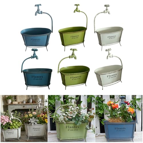 Pots de fleurs ovales en fer rouillé pour décoration de jardin - 3