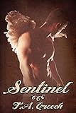 Sentinel (Theosophi Book 1) (English Edition)