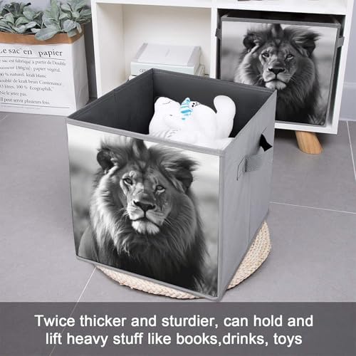 Boîte de rangement pliable durable à poignées pour linge et chaussettes
