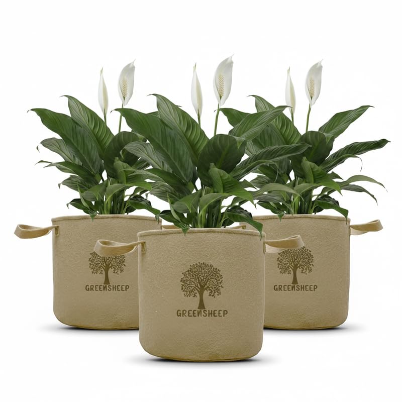 GREENSHEEP Geo Fabric Grow Bags for Terrace Gardening, Balcony, Vegetables, Plants, Fruits and Flower with Handles - Breathable and Reusable Plant Bags for Indoor (Beige) (Pack of 3) (Size-12x12)